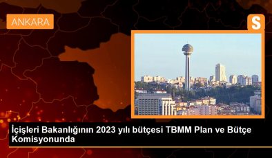 İçişleri Bakanlığının 2023 yılı bütçesi TBMM Plan ve Bütçe Komisyonunda
