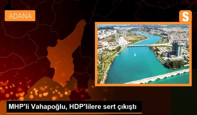 MHP’li Vahapoğlu, HDP’lilere sert çıkıştı