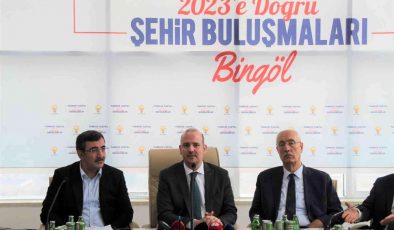 AK Parti Genel Başkan Yardımcısı İleri: “Türkiye’de, yurt içinde bulamadıkları vizyonu maalesef yabancı danışmanlar ile bulmaya çalışıyorlar”