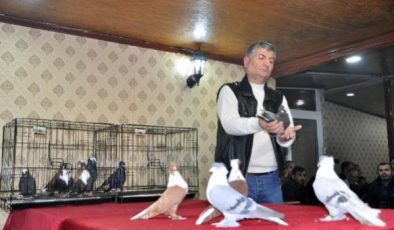 Diyarbakır’ın yerel 18 ırk güvercini sergilendi