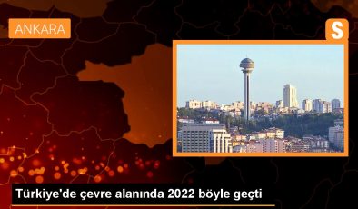 Türkiye’de çevre alanında 2022 böyle geçti