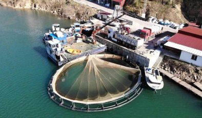 Artvin’de kafes balığı tesislerine yenileri ekleniyor: Hedef 50 bin somon ihracatı