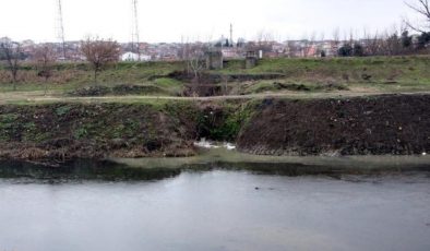Edirne’nin kanalizasyon suları, Tunca Nehri’ne akıyor