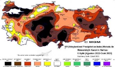 Karadeniz’de bitkisel üretimde ‘çok şiddetli kuralık’ tehdidi
