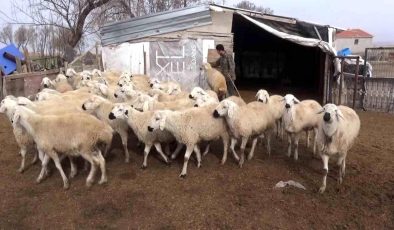 Karamanlı üreticiler, yabancı uyruklu çoban ve tarım işçileri için sabit maaş düzenlemesi istiyor