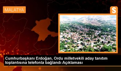 Cumhurbaşkanı Erdoğan, Ordu milletvekili aday tanıtım toplantısına telefonla bağlandı Açıklaması